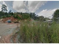 For Sale - Durian Tunggal