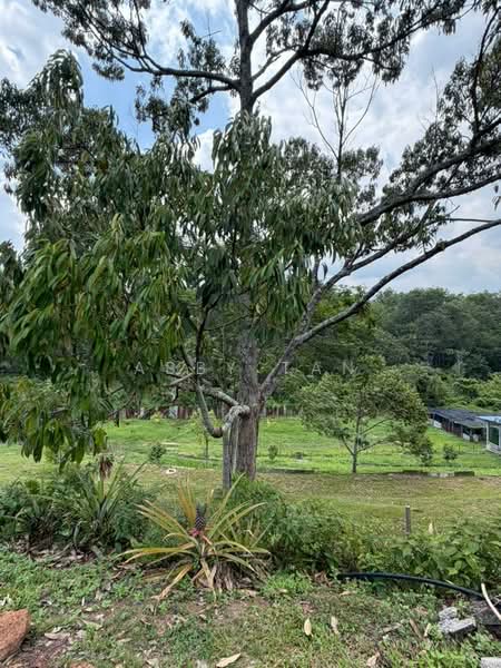 Agricultural Land for Sale in Senawang (Negeri Sembilan) - Abby Tan - Exterior - PropertyGuru.com.my