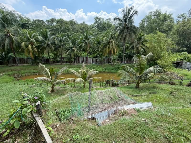 Agricultural Land for Sale in Senawang (Negeri Sembilan) - Abby Tan - Garden - PropertyGuru.com.my