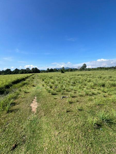 Beranang untuk Untuk Dijual - RM 1,699,000, Mac 2026 - Exterior - PropertyGuru.com.my