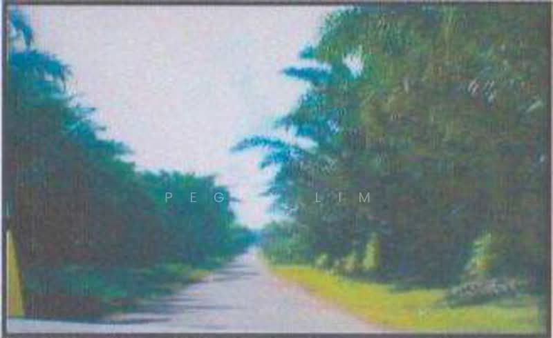 Freehold Palm Oil Plantation - Slim River, Perak untuk Untuk Dijual - RM 920,400,000, Apr 2026 - Exterior - PropertyGuru.com.my