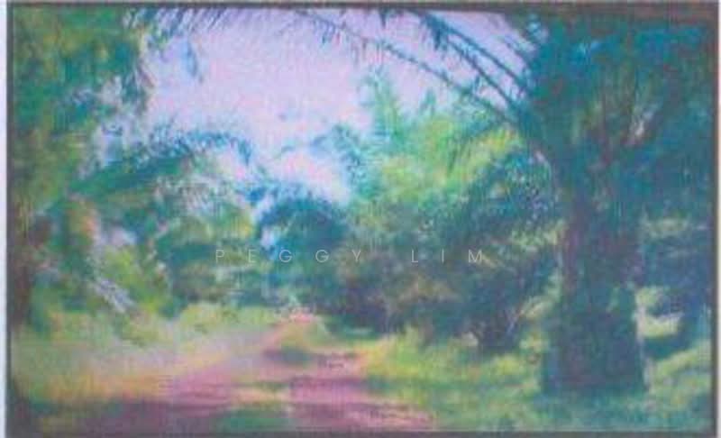 Freehold Palm Oil Plantation - Slim River, Perak untuk Untuk Dijual - RM 920,400,000, Apr 2026 - Exterior - PropertyGuru.com.my