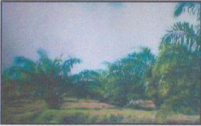 Freehold Palm Oil Plantation - Slim River, Perak untuk Untuk Dijual - RM 920,400,000, Apr 2026 - Exterior - PropertyGuru.com.my