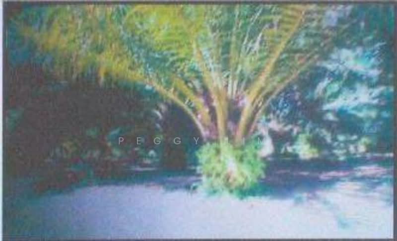 Freehold Palm Oil Plantation - Slim River, Perak untuk Untuk Dijual - RM 920,400,000, Apr 2026 - Exterior - PropertyGuru.com.my