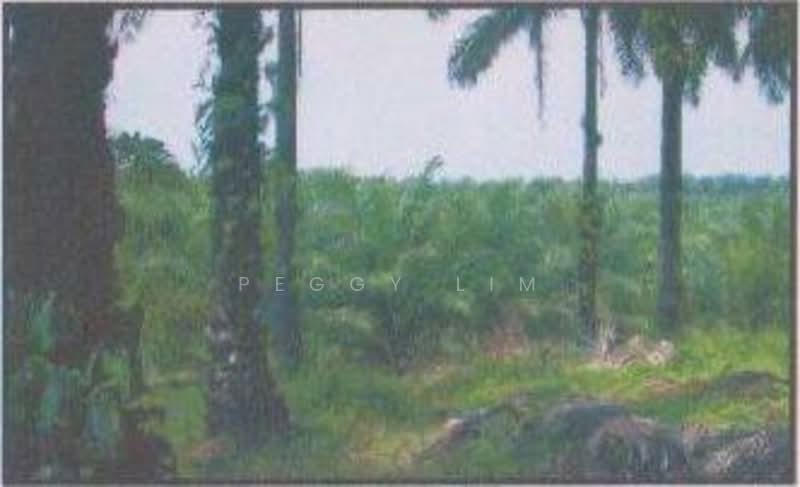 Freehold Palm Oil Plantation - Slim River, Perak untuk Untuk Dijual - RM 920,400,000, Apr 2026 - Exterior - PropertyGuru.com.my