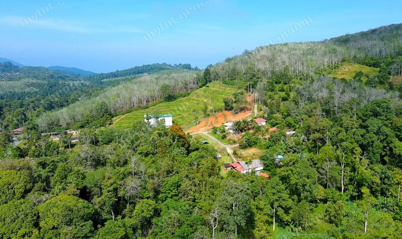 For Sale - 24.16 acres Lowest Price | Agricultural Land | Pengkalan Hulu | Perak Rm1.49psf
