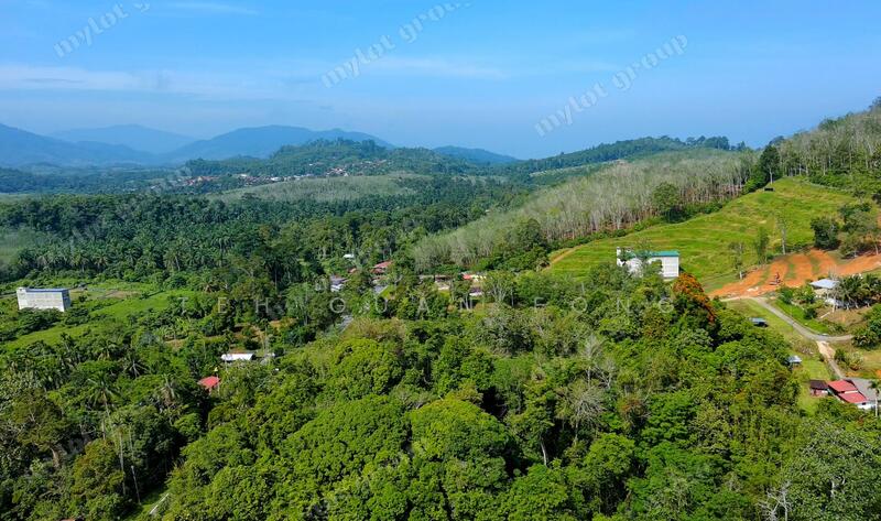 For Sale - 24.16 acres Lowest Price | Agricultural Land | Pengkalan Hulu | Perak Rm1.49psf