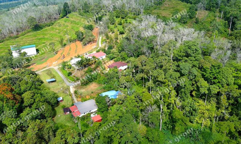 For Sale - 24.16 acres Lowest Price | Agricultural Land | Pengkalan Hulu | Perak Rm1.49psf