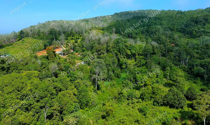 For Sale - 24.16 acres Lowest Price | Agricultural Land | Pengkalan Hulu | Perak Rm1.49psf