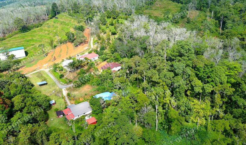 For Sale - 24.16 acres Lowest Price | Agricultural Land | Pengkalan Hulu | Perak Rm1.49psf