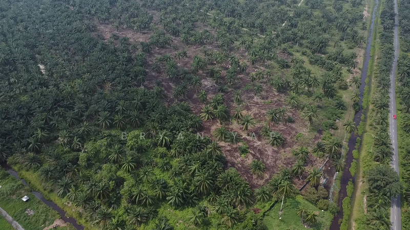 Banting untuk Untuk Dijual - RM 90,000,000, Feb 2026 - Exterior - PropertyGuru.com.my