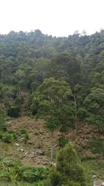 Agricultural Land for Sale in Balik Pulau (Penang) - Siang Ling - Exterior - PropertyGuru.com.my