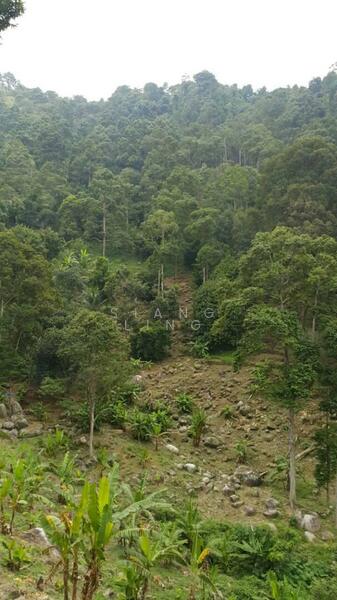 Agricultural Land for Sale in Balik Pulau (Penang) - Siang Ling - Exterior - PropertyGuru.com.my