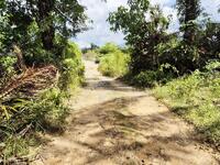 For Sale - 4.4 Acres | Agricultural Land | Beside Taman | Baling | KEDAH Rm 10 psf