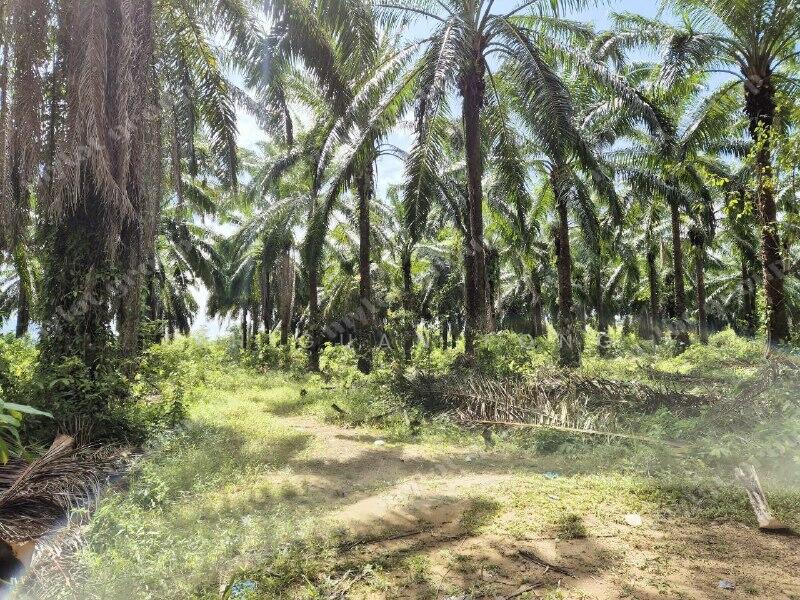 4.4 Acres | Agricultural Land | Beside Taman | Baling | KEDAH Rm 10 psf untuk Untuk Dijual - RM 1,916,630, Feb 2026 - Exterior - PropertyGuru.com.my