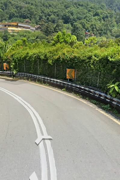 Agricultural Land for Sale in Balik Pulau (Penang) - Caiwei Chew - PropertyGuru.com.my
