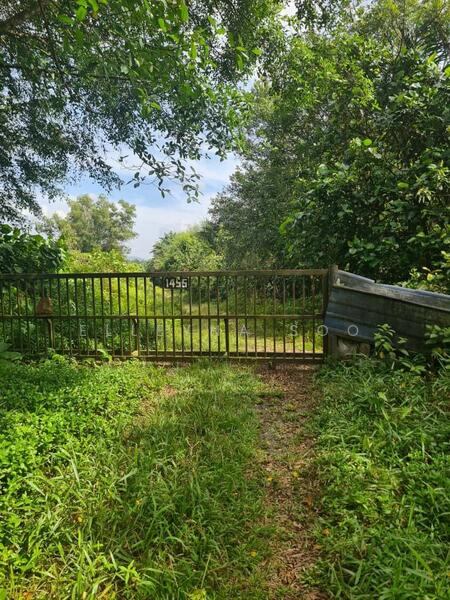 Industrial Land for Sale in Pekan Nenas (Jeram Batu) - Elleyna Soo - Exterior - PropertyGuru.com.my