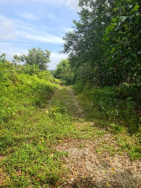 Industrial Land for Sale in Pekan Nenas (Jeram Batu) - Elleyna Soo - Exterior - PropertyGuru.com.my
