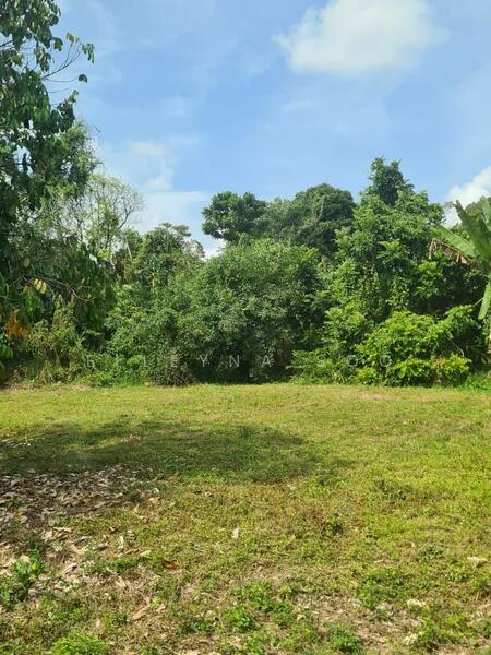 Industrial Land for Sale in Pekan Nenas (Jeram Batu) - Elleyna Soo - Exterior - PropertyGuru.com.my
