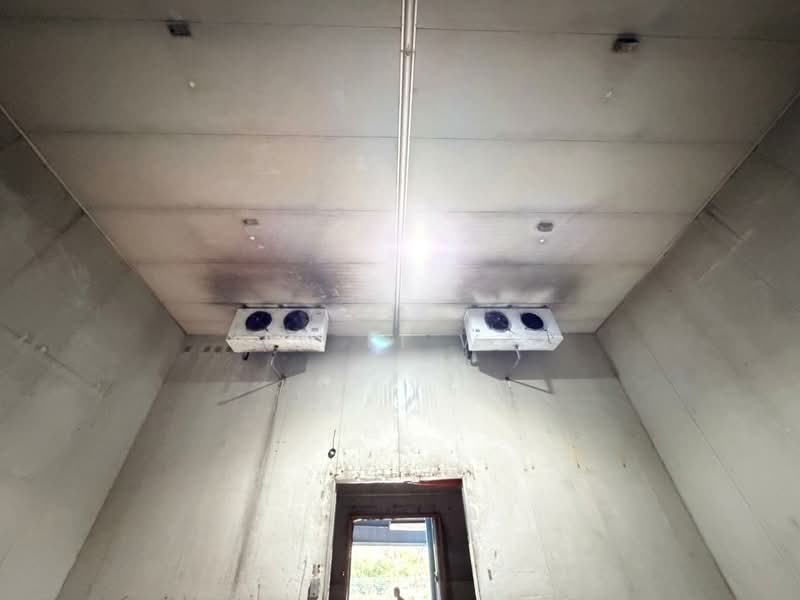 Factory for Rent in Glenmarie (Selangor) - Janie Wai - Interior - PropertyGuru.com.my