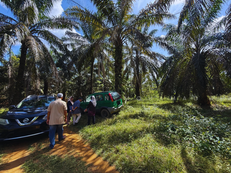 Tanah Sawit 4.23 ekar di Bukit Diman, Ajil, Terengganu untuk Untuk Dijual - RM 150,000, Mac 2026 - Exterior - PropertyGuru.com.my