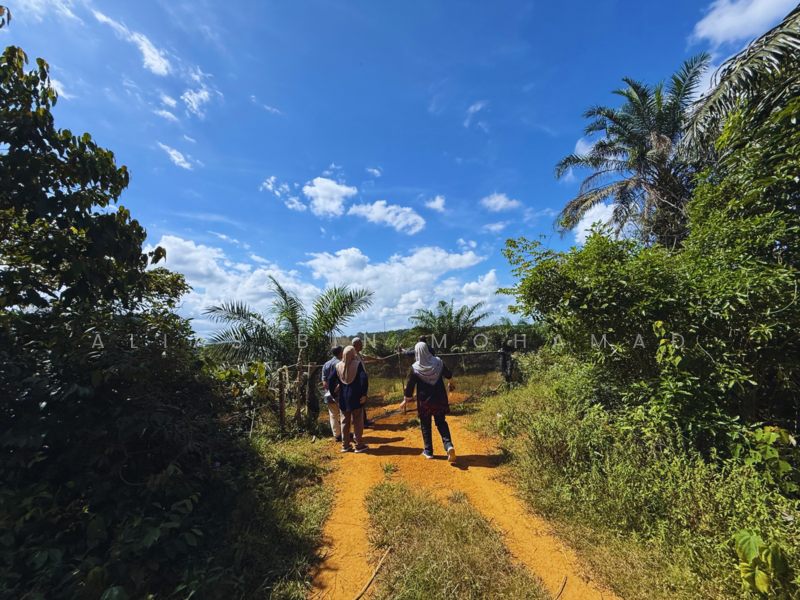 Tanah Sawit 4.23 ekar di Bukit Diman, Ajil, Terengganu untuk Untuk Dijual - RM 150,000, Mac 2026 - Exterior - PropertyGuru.com.my