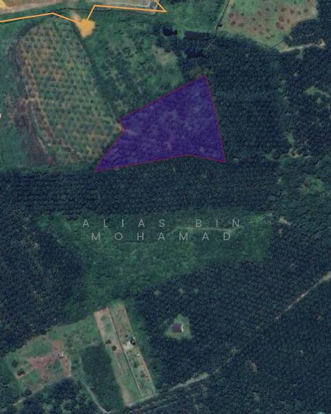 Tanah Sawit 4.23 ekar di Bukit Diman, Ajil, Terengganu untuk Untuk Dijual - RM 150,000, Mac 2026 - PropertyGuru.com.my