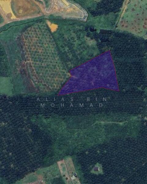 Tanah Sawit 4.23 ekar di Bukit Diman, Ajil, Terengganu untuk Untuk Dijual - RM 150,000, Mac 2026 - PropertyGuru.com.my