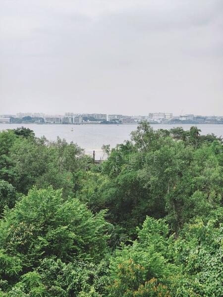 THE STRAITS VIEW RESIDENCES untuk Untuk Dijual - RM 2,800,000, Feb 2026 - View - PropertyGuru.com.my