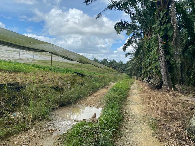 Agricultural Land for Sale in Senai (Johor) - Kelly Wai - Exterior - PropertyGuru.com.my