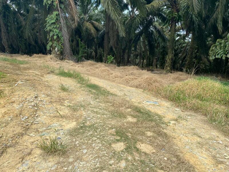 Agricultural Land for Sale in Senai (Johor) - Kelly Wai - Exterior - PropertyGuru.com.my