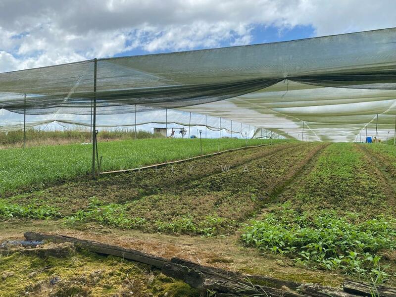 Agricultural Land for Sale in Senai (Johor) - Kelly Wai - Exterior - PropertyGuru.com.my