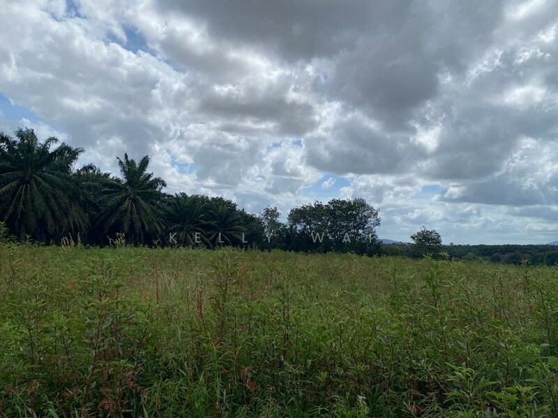 Agricultural Land for Sale in Senai (Johor) - Kelly Wai - Exterior - PropertyGuru.com.my