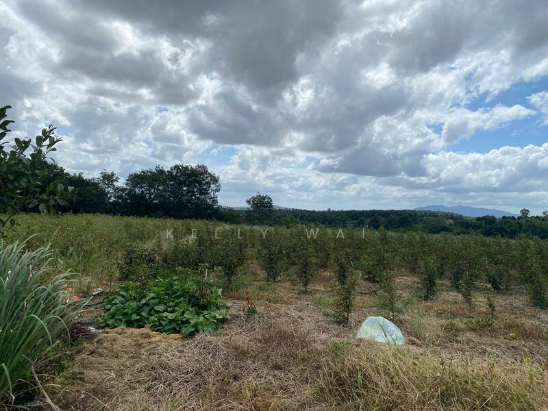 Agricultural Land for Sale in Senai (Johor) - Kelly Wai - Garden - PropertyGuru.com.my
