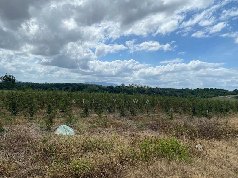 Agricultural Land for Sale in Senai (Johor) - Kelly Wai - Exterior - PropertyGuru.com.my