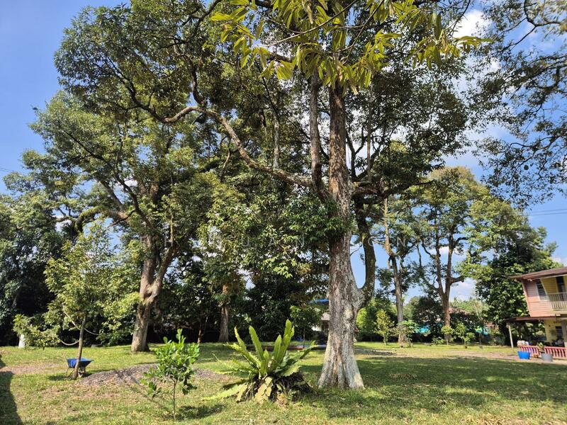 Agricultural Land for Sale in Taman Jawi (Sungai Bakap) - Teh Guan Fong - Exterior - PropertyGuru.com.my