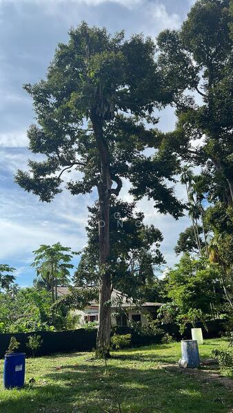 Agricultural Land for Sale in Taman Jawi (Sungai Bakap) - Teh Guan Fong - Exterior - PropertyGuru.com.my