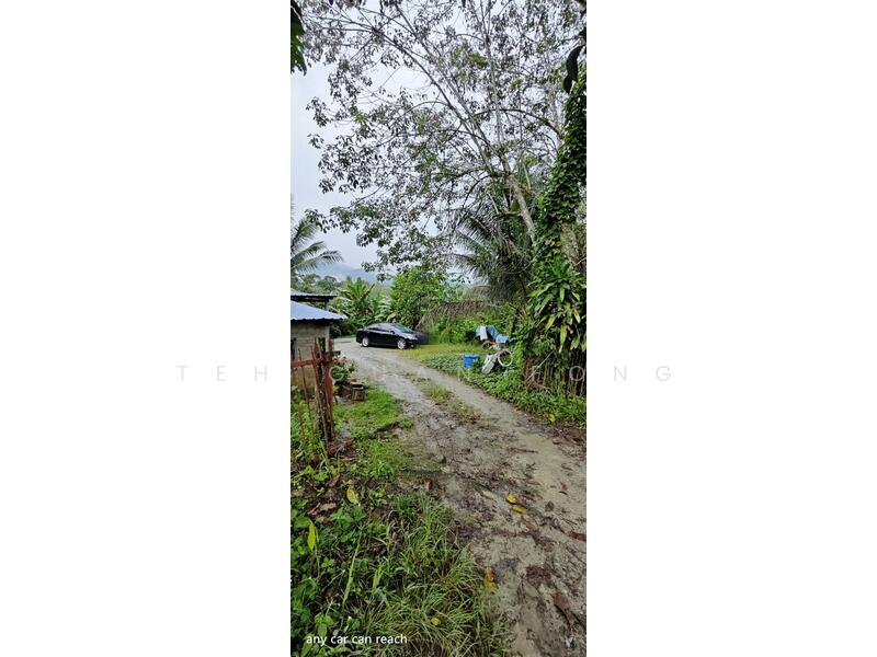 Tanah Pertanian untuk Dijual di Kuala Kangsar (Perak) - Teh Guan Fong - Exterior - PropertyGuru.com.my