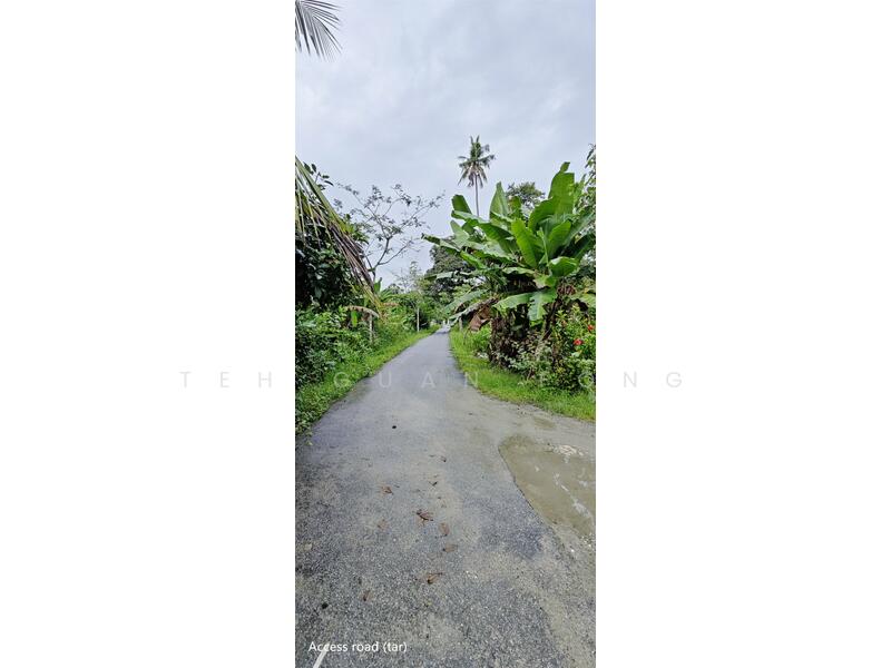 Tanah Pertanian untuk Dijual di Kuala Kangsar (Perak) - Teh Guan Fong - Exterior - PropertyGuru.com.my