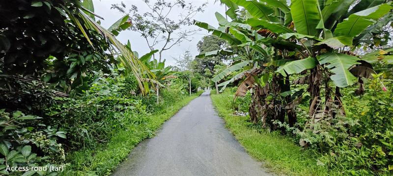 Tanah Pertanian untuk Dijual di Kuala Kangsar (Perak) - Teh Guan Fong - Exterior - PropertyGuru.com.my