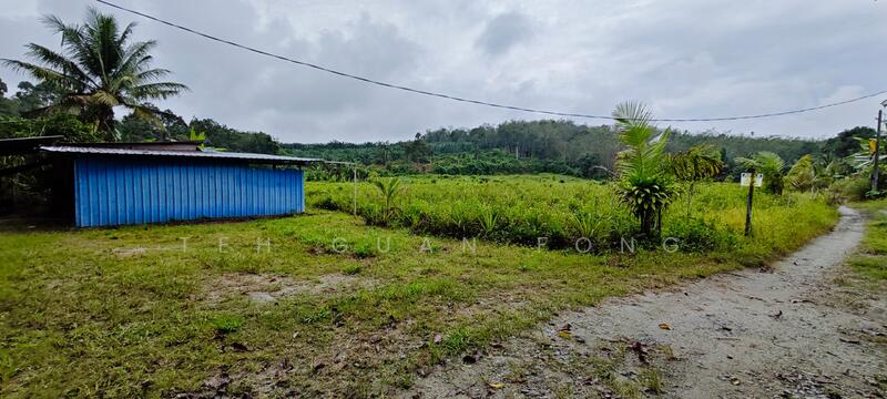 Tanah Pertanian untuk Dijual di Kuala Kangsar (Perak) - Teh Guan Fong - Exterior - PropertyGuru.com.my
