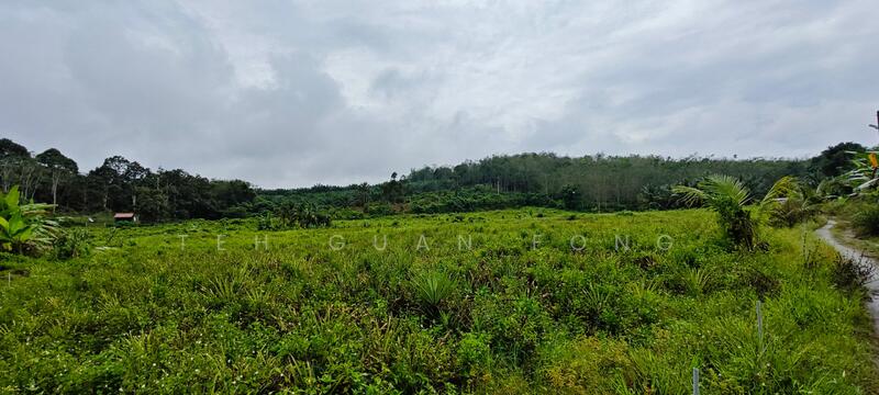 Tanah Pertanian untuk Dijual di Kuala Kangsar (Perak) - Teh Guan Fong - Exterior - PropertyGuru.com.my