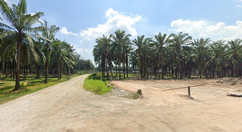Industrial Land for Sale in Ijok (Selangor) - Bill Lim - Exterior - PropertyGuru.com.my