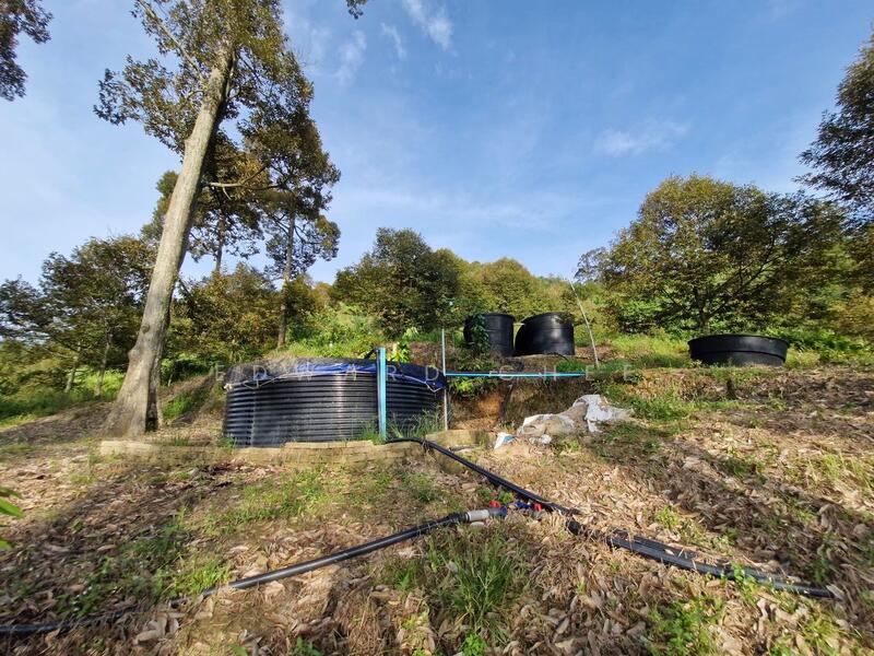 Agricultural Land for Sale in Bukit Mertajam (Penang) - Edward Chee - Exterior - PropertyGuru.com.my