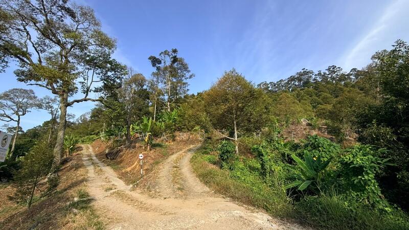 Agricultural Land for Sale in Bukit Mertajam (Penang) - Edward Chee - Exterior - PropertyGuru.com.my