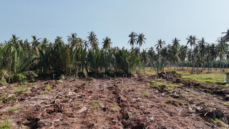 Other Property for Sale in Sungai Besar (Selangor) - Endy Hidayat - Exterior - PropertyGuru.com.my