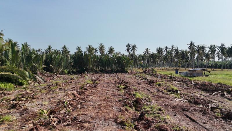 Other Property for Sale in Sungai Besar (Selangor) - Endy Hidayat - Exterior - PropertyGuru.com.my