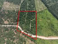 For Sale - Yong Peng