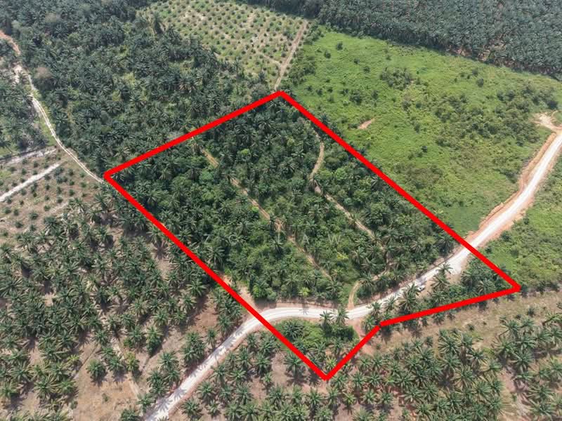 Agricultural Land for Sale in Yong Peng (Johor) - ZG Law - Exterior - PropertyGuru.com.my