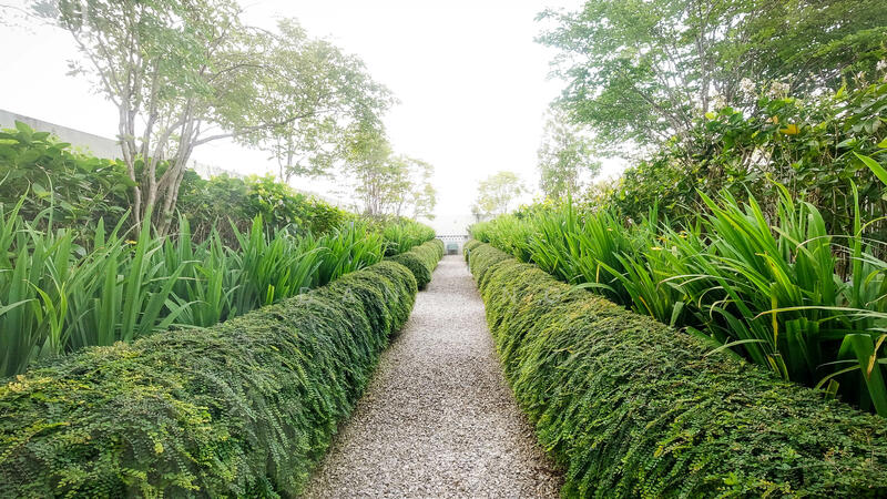 UNA Serviced Apartment untuk Untuk Disewa - RM 1,700 /bulan, Mac 2026 - Garden - PropertyGuru.com.my